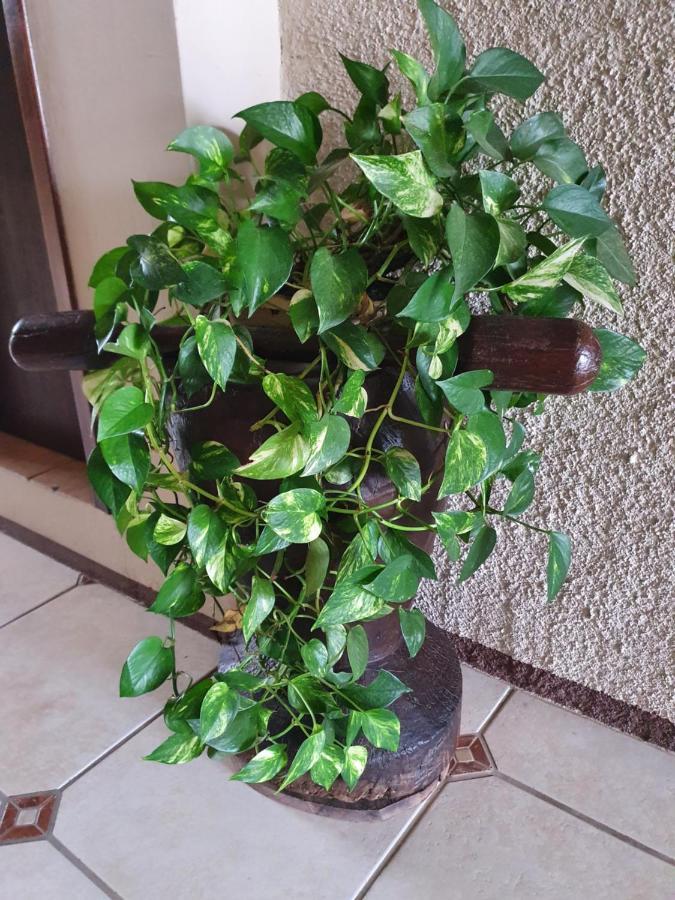 Pousada Vo Maricota بنها المظهر الخارجي الصورة